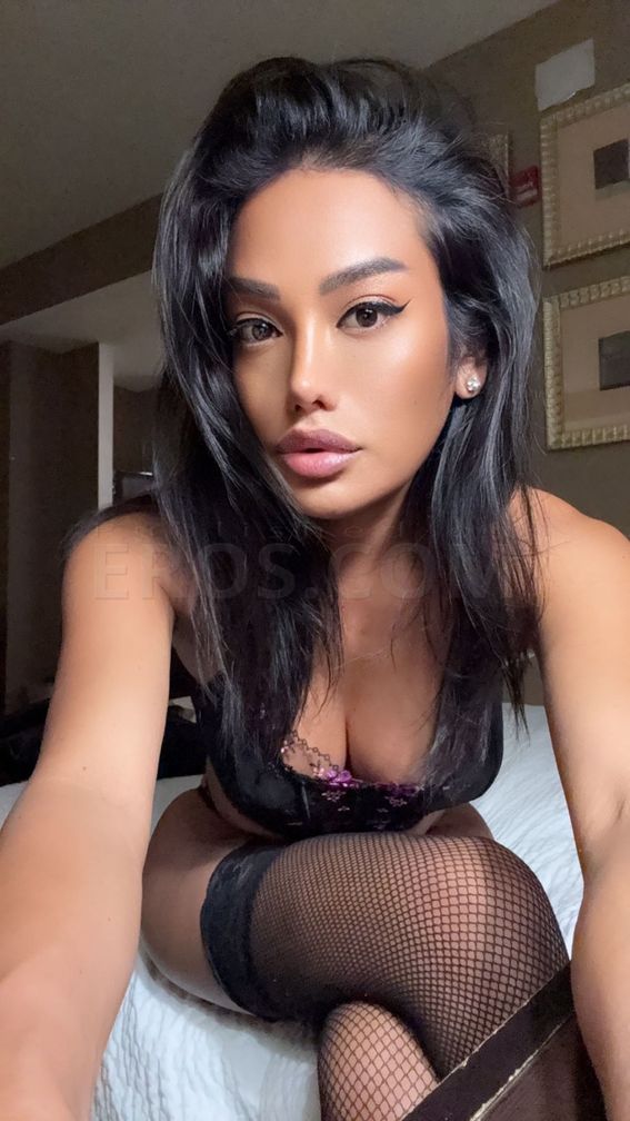 Ts Angel visiting Dania Beach FL.