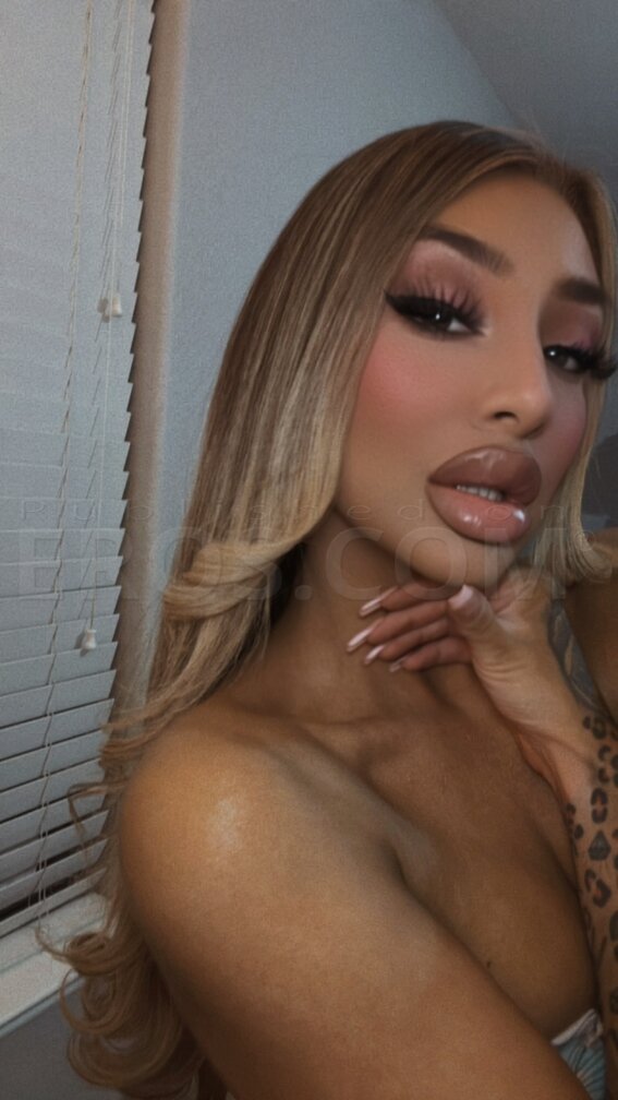 Persia Doll