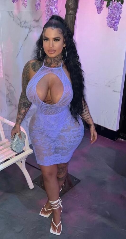 Hollywood Brittany