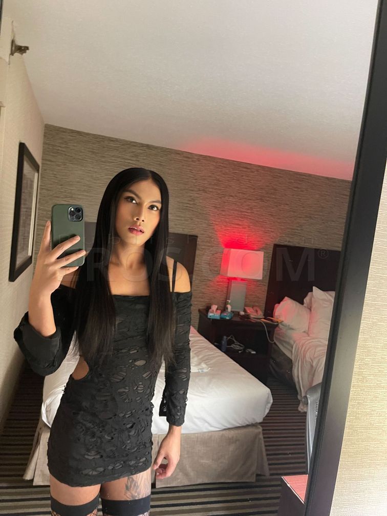 Tysons Corner new TS