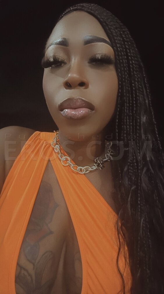 Caribbean Beauty