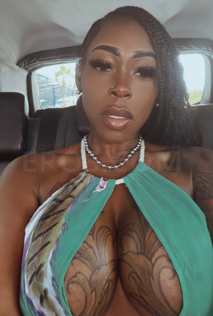 Caribbean Beauty