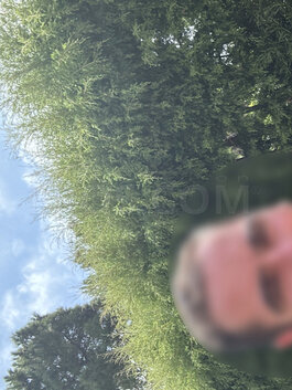John
