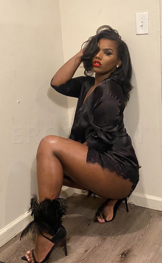 Bella Dream