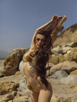 PLAYBOY SUPERMODEL DREAM