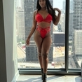 Angelica