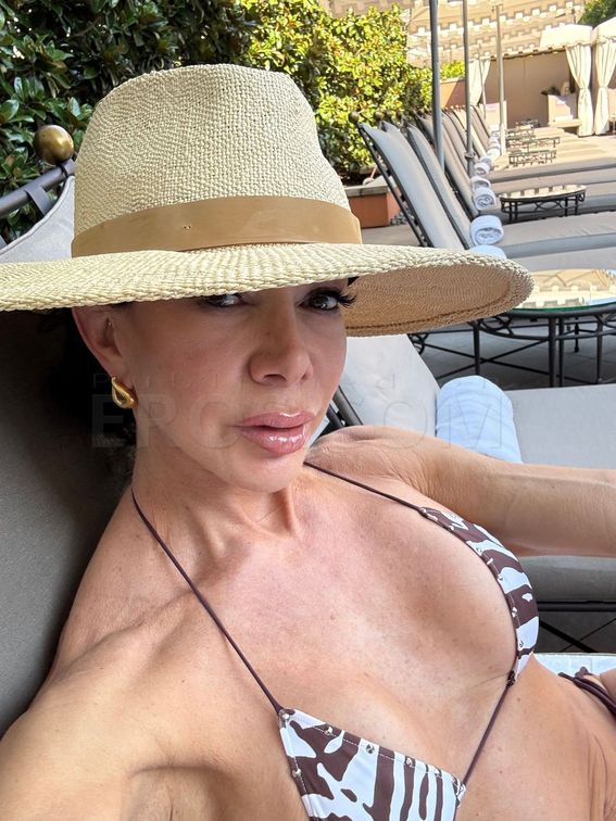 VIP Chatonne Kingsley