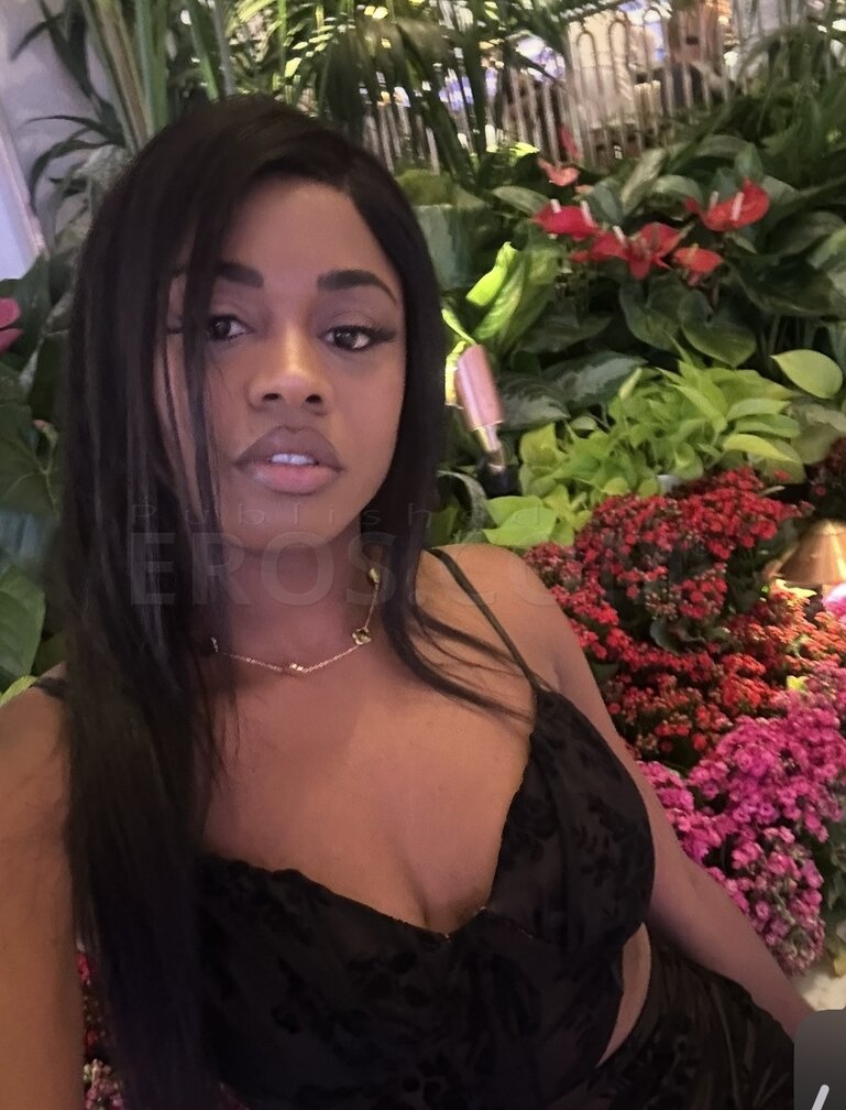 Paloma