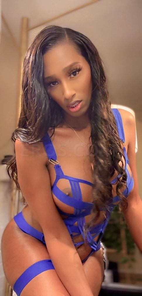 Ms.Toya