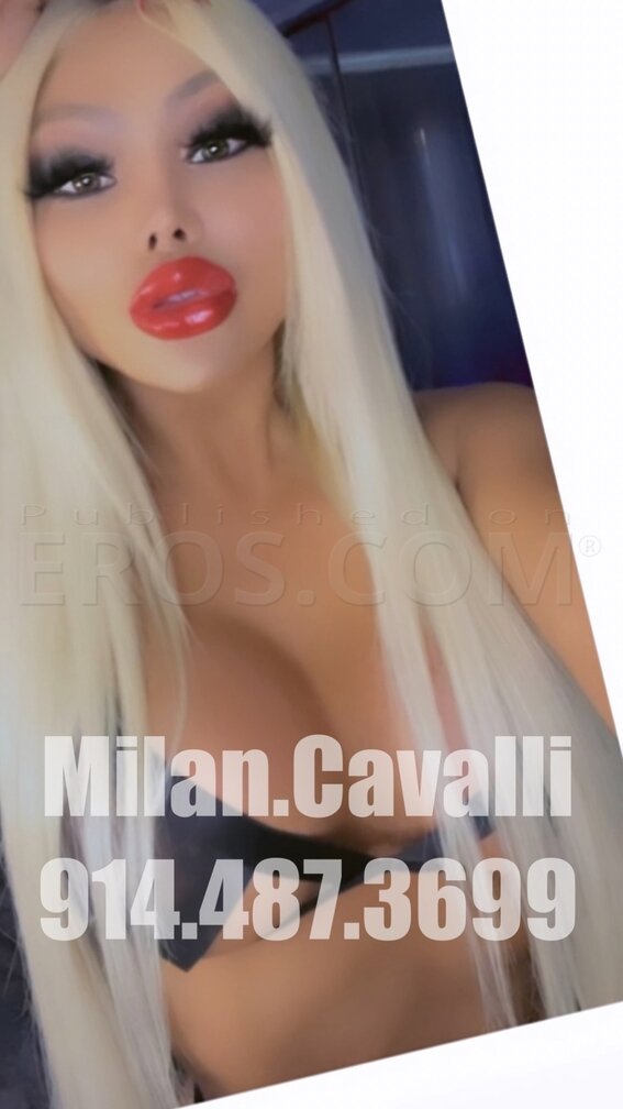 MILAN CAVALLI