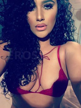 Chicago indepentdent escorts Most Accurate Chicago Escorts Guide for independent escorts