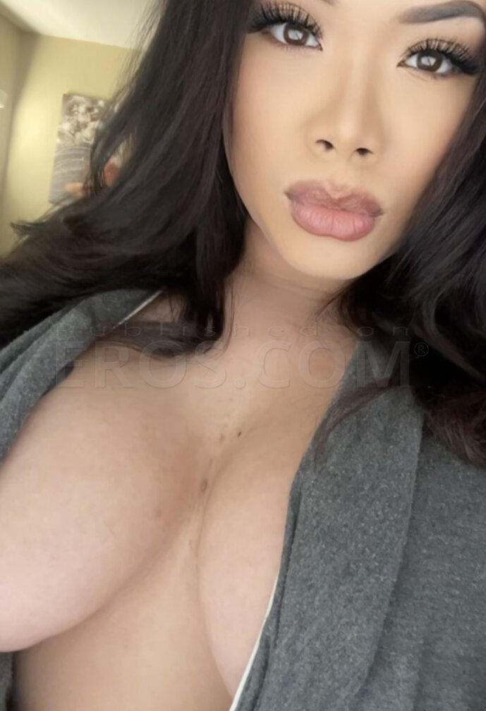 VIP ashley