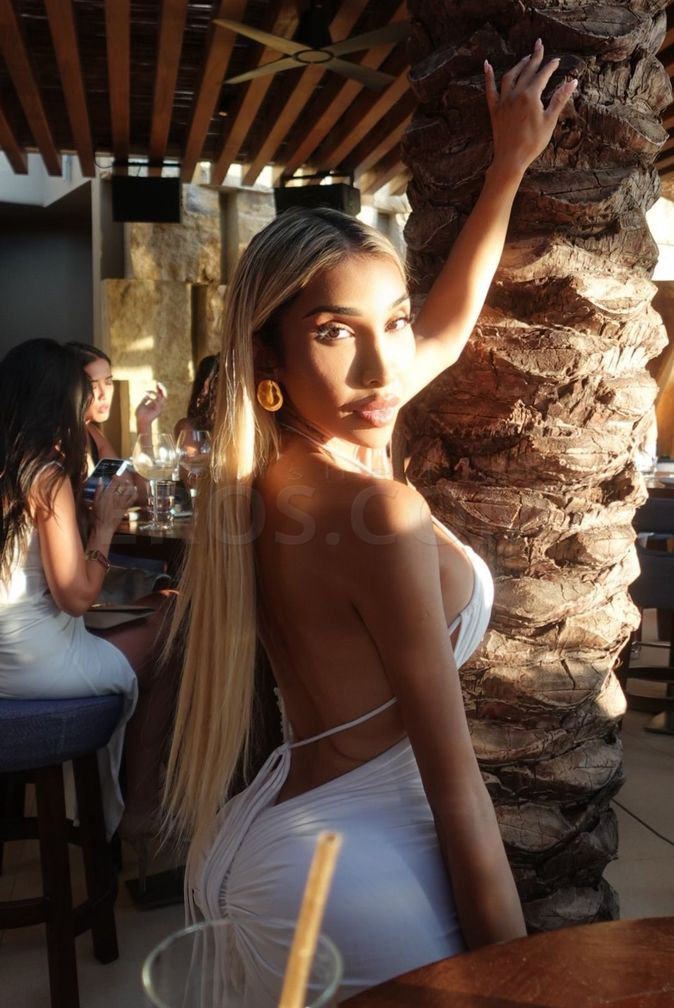 VIP tsperla inn Brickell