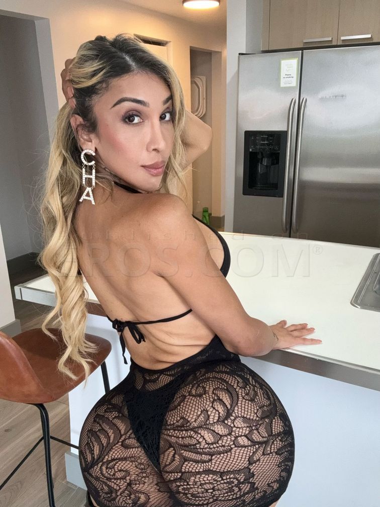 VIP tsperla inn Brickell