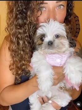 Francesca