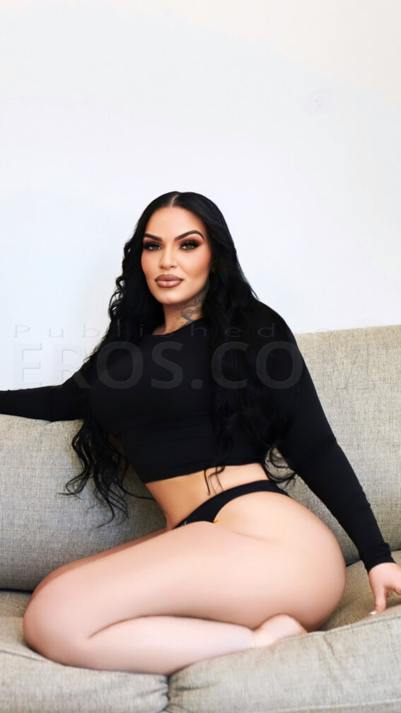 Exotic Yasmine in Tampa