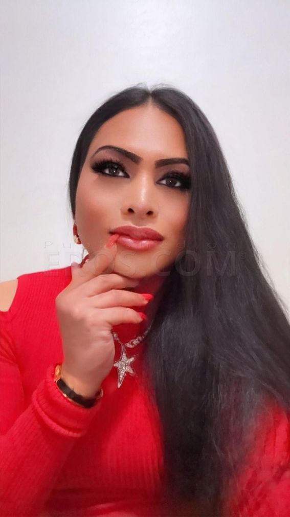 KOP n PLYMOUTH M with QEEZHA