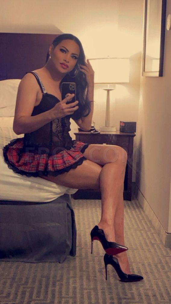 HOLLYWOOD Qeezha