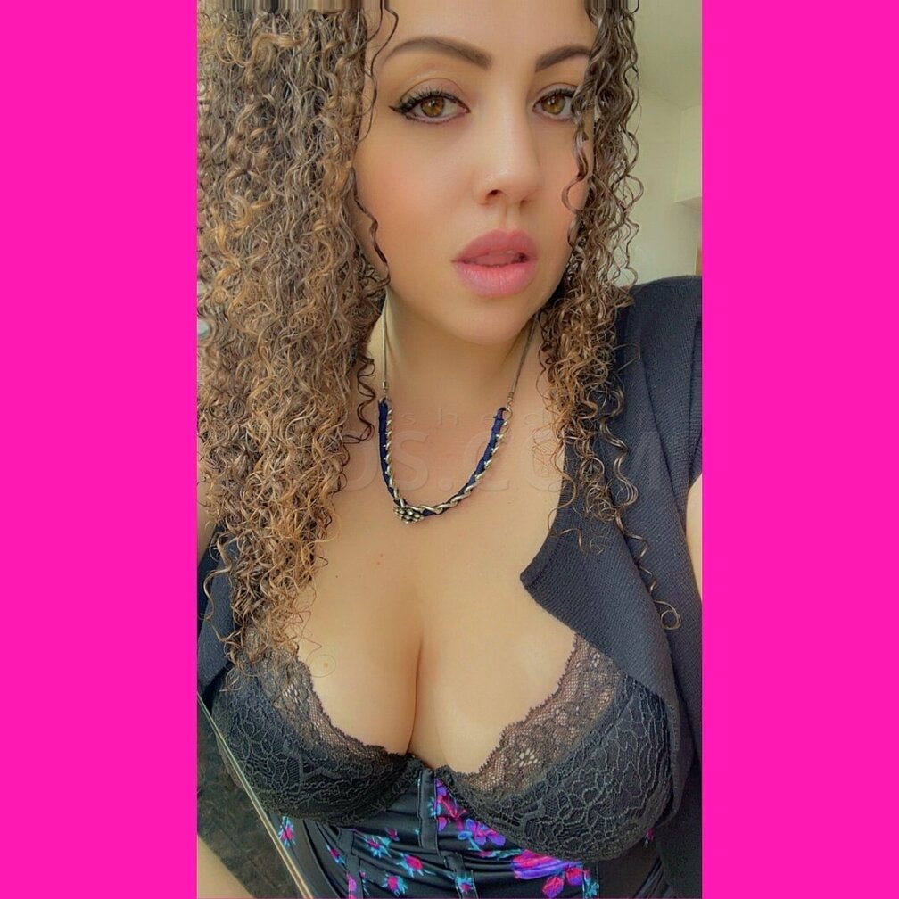 Sophia Roses