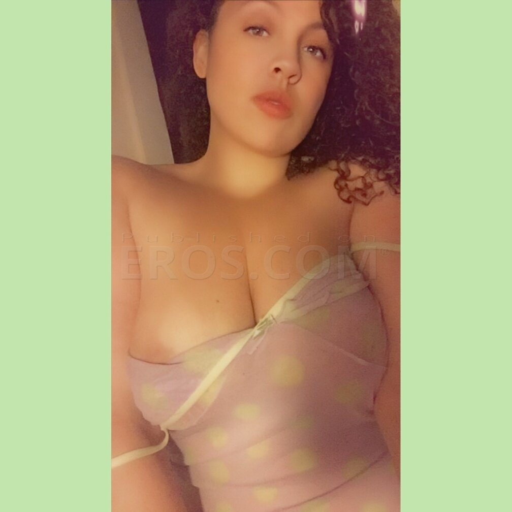 Sophia Roses