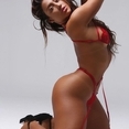 Zara BRAZIL
