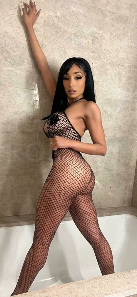 VIP Celeste
